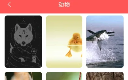 幻影壁纸2025下载安装 幻影壁纸2025下载安装