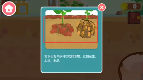 �����������(����̽����Ϸ)