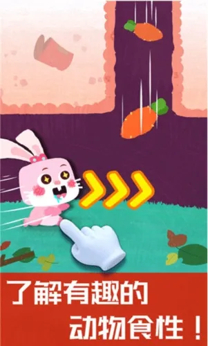 �����������(����̽����Ϸ)