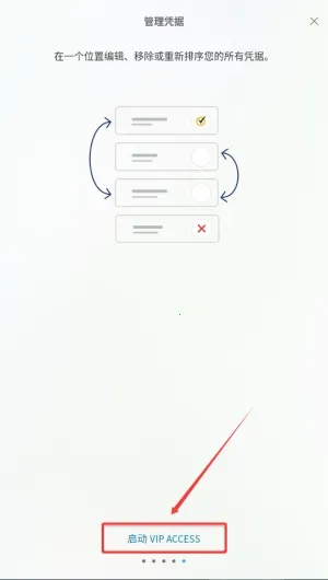 VIP Access2025�ٷ�����