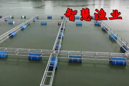 智慧渔业(渔业养殖平台) 智慧渔业(渔业养殖平台)