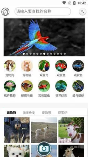 识万物 识万物