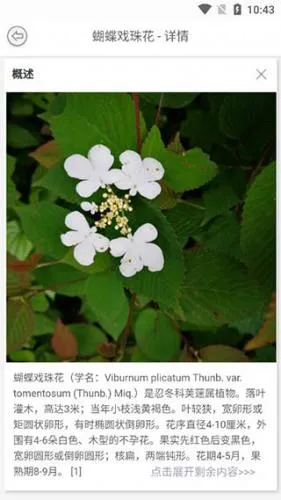 识万物 识万物