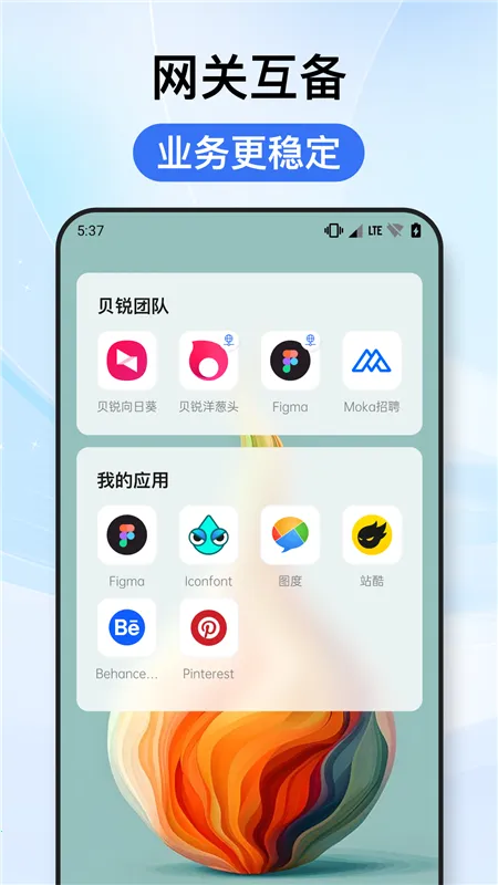 贝锐洋葱头 贝锐洋葱头