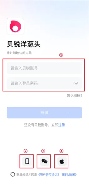 贝锐洋葱头 贝锐洋葱头