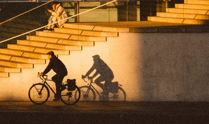 ProCCD���2026���°汾