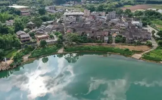 ���������ֻ���