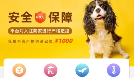 ��������pet