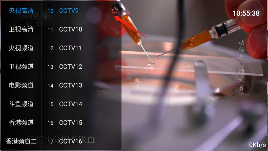����TV2026�ٷ�����