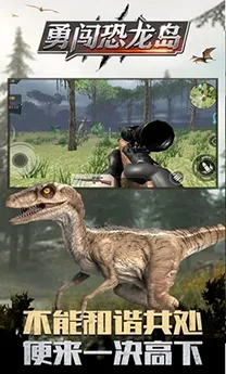 �´�������2026�ٷ�����