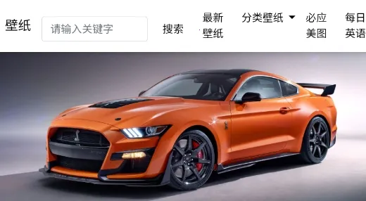 ��������2026�ٷ�����
