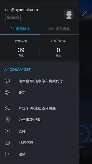 �����ִ�bluelink