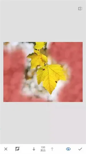 ָ����ͼ