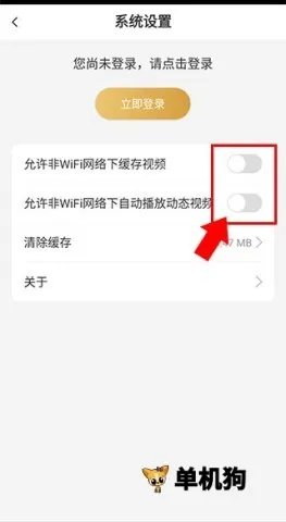 ����ѧ��