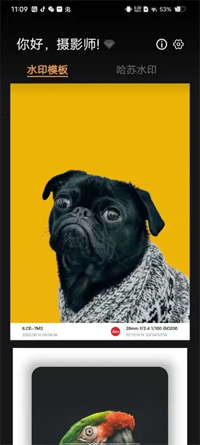 �߿�ˮӡ��ʦ(��Ƭ�༭����)