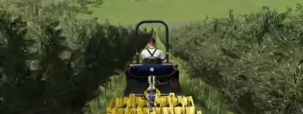 ģ��ũ��23�ֻ�������