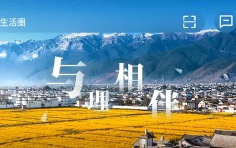 ����app(�����������ƽ̨)