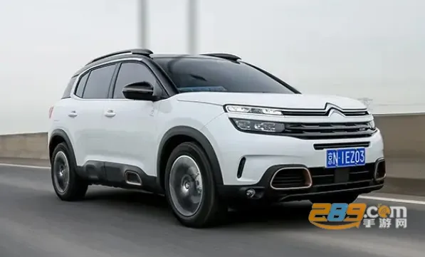 ����ѩ���������ֻ���