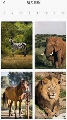 Ӣ��ּ���(Ӣ��ѧϰ����)