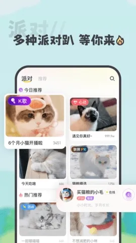 ����(�����罻����)