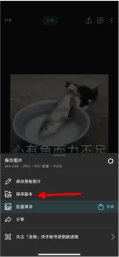 泼辣修图破解版安卓版 泼辣修图破解版安卓版
