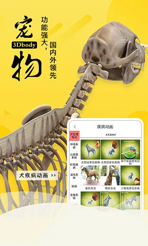 3dbody������������