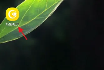 ���Ҹ���(�����罻ƽ̨)