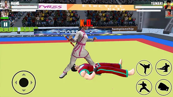 Karate fighter2026�ٷ����°汾
