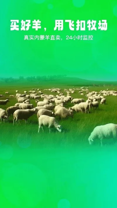 �ɿ�(������ֳӦ��)