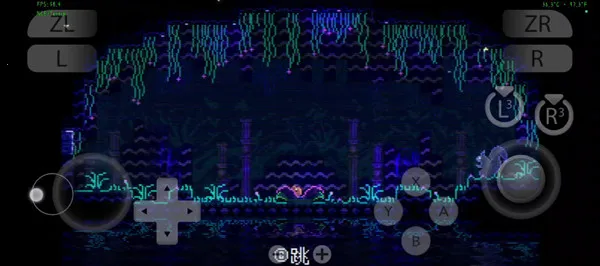 ���ﾮAnimalWell