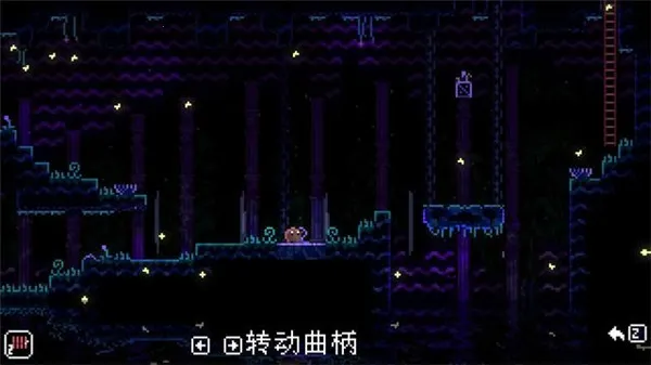 ���ﾮAnimalWell