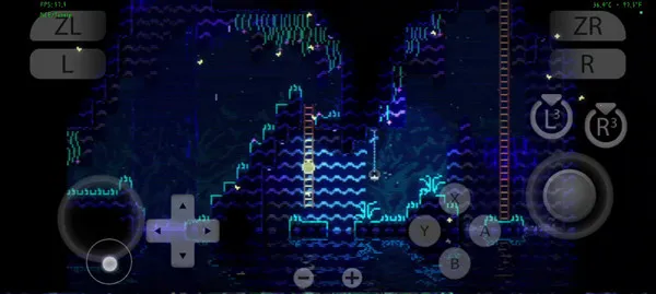 ���ﾮAnimalWell