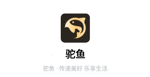 ����2026���°汾