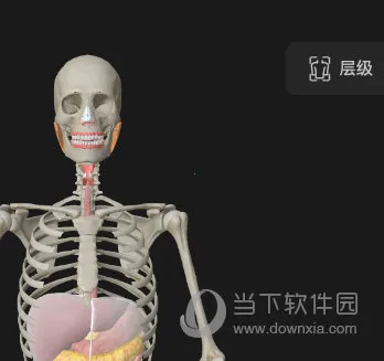 ά����3D����(3D����ѧϰ����)