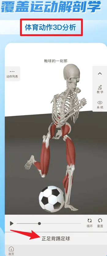 ά����3D����(3D����ѧϰ����)