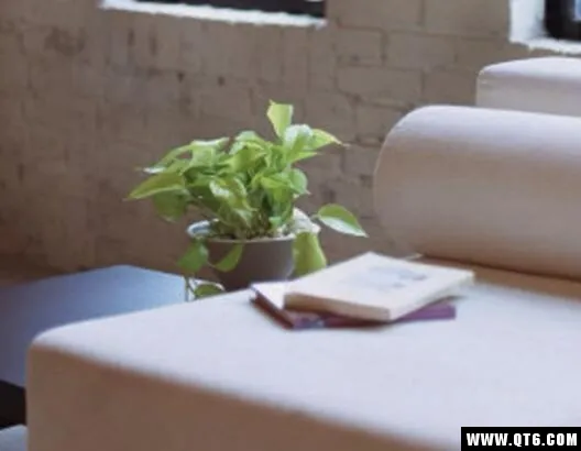 臻品汇2026官方正版 臻品汇2026官方正版