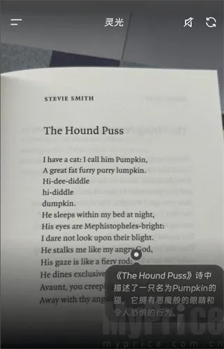 ���AI��������
