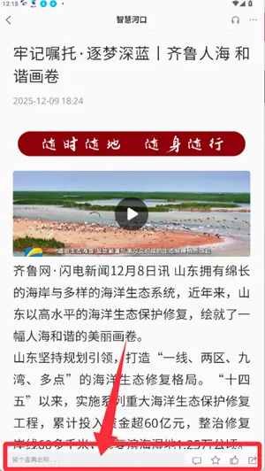�ǻۺӿ�2026���°汾