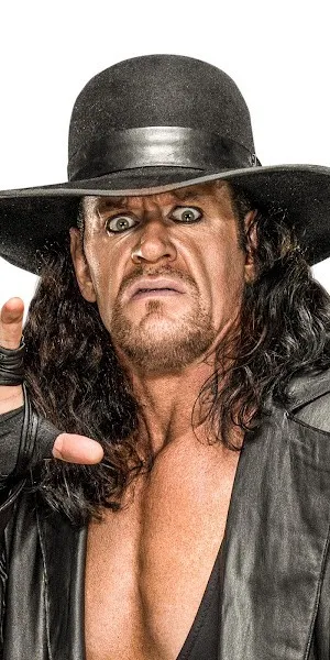 wwe��Ұ�Ƕ�ʿ(WWE��������)