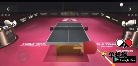 ��ʵƹ����(ƹ����ģ����Ϸ)