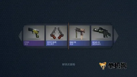 csgo����ģ����(CSGO������Ϸ)