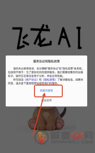 飞龙AI助手(AI多功能平台)