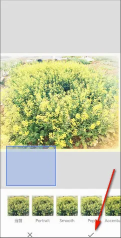 BetterSeed2026�ٷ����°汾