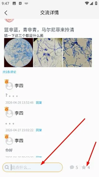 ����ʶ��2026���°汾