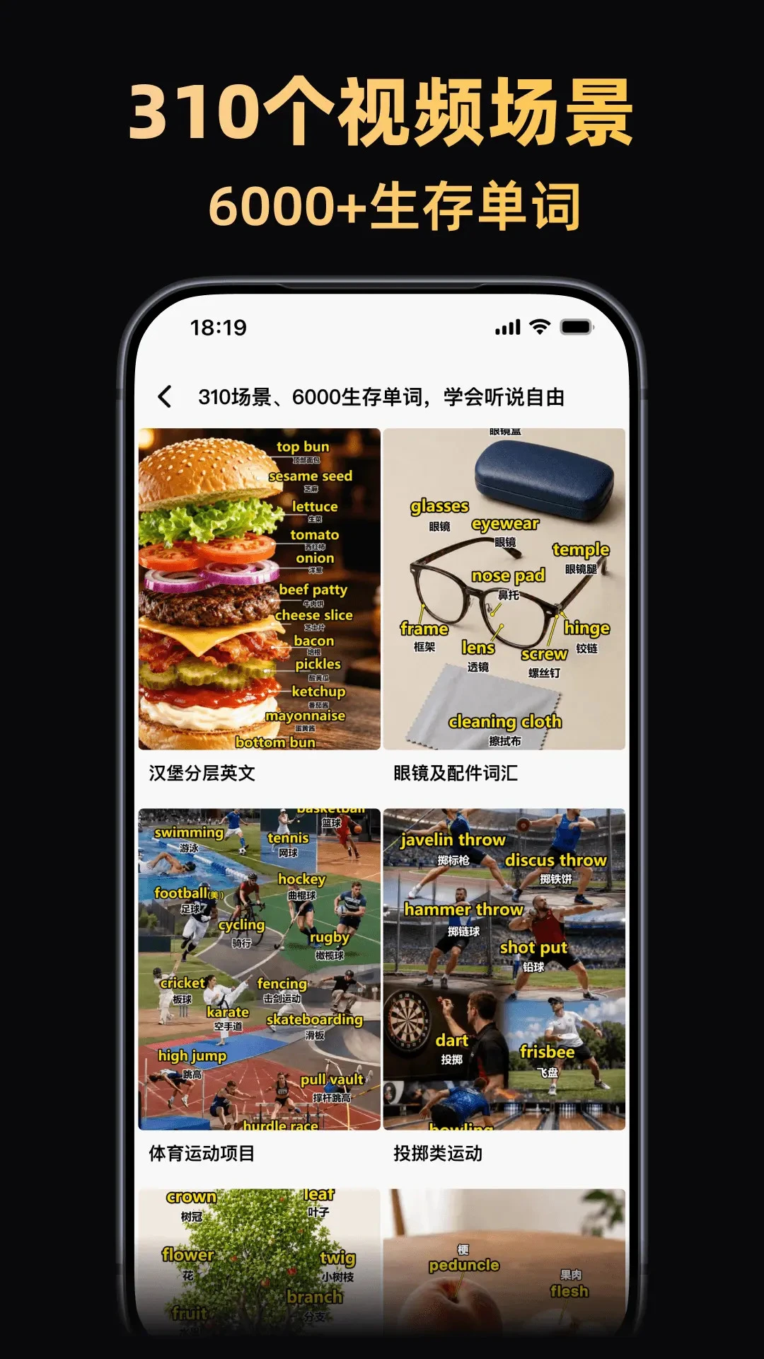 ����Ӣ��2026���°汾