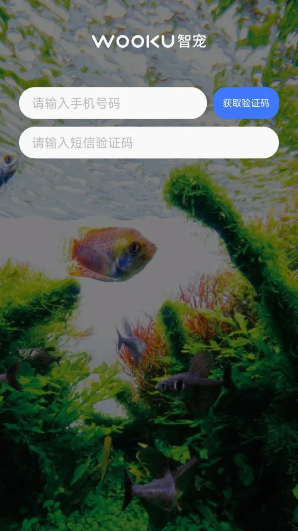 WOOKU�ǳ�(����ˮ��Ʒ��)
